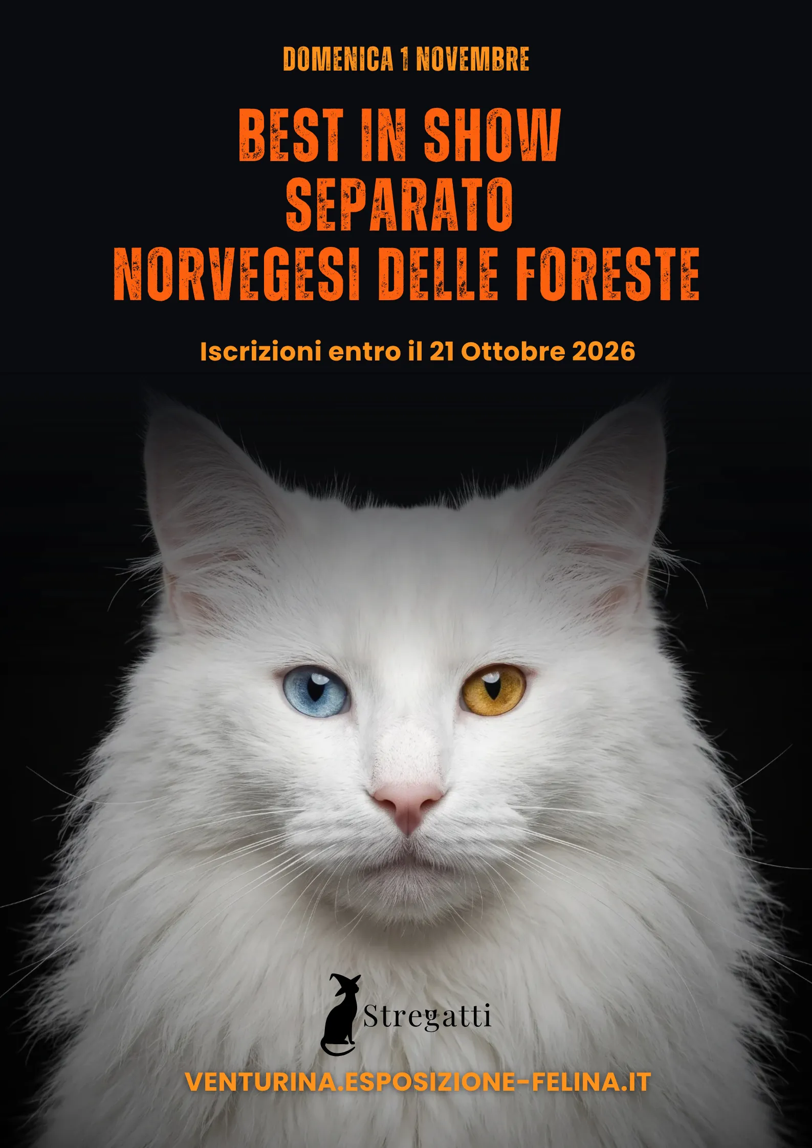 Best in Show separato Norvegesi delle Foreste — domenica 1 novembre