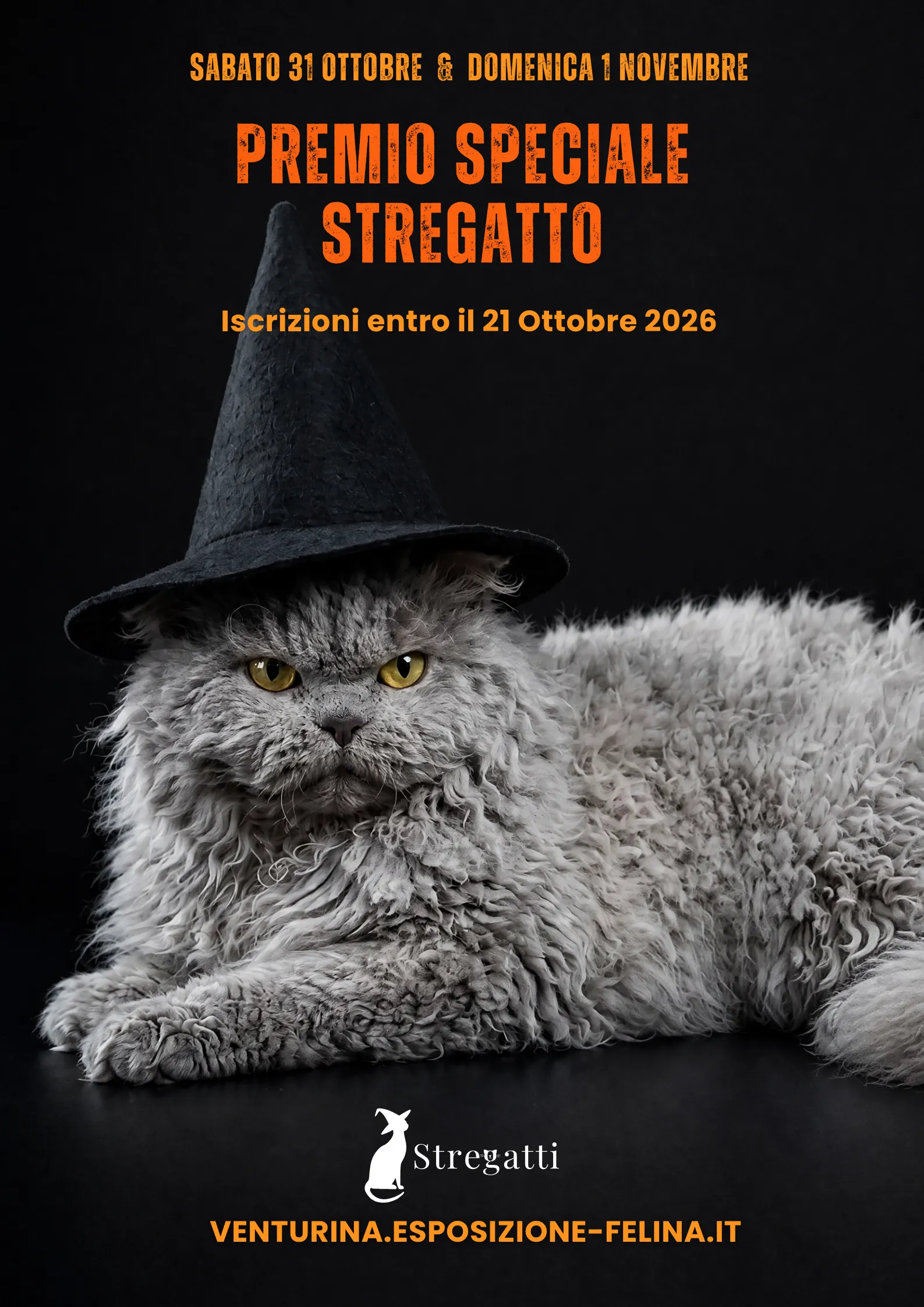 Premio Speciale Stregatto — sabato 31 ottobre e domenica 1° novembre