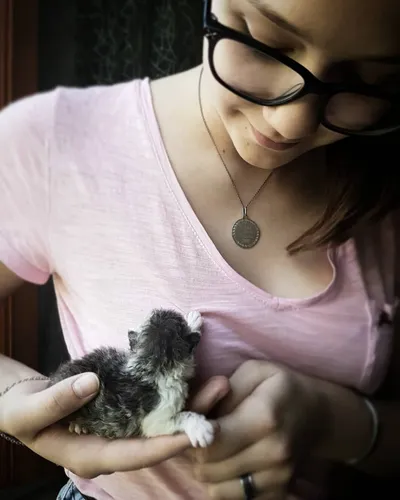 Image for Aspera Basia Daenerys 4