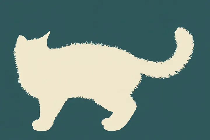 placeholder cat