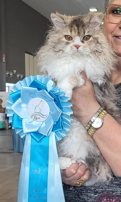 Image for SI* Rexenia Costum Made Frida  4